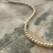 IMG_6765.jpeg