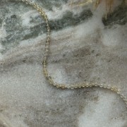 IMG_7870.jpeg