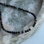 IMG_7894.jpeg