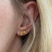 IMG_3031.jpeg