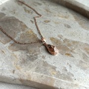 IMG_3618.jpeg
