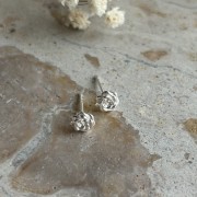 IMG_3745.jpeg