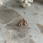 IMG_3748.jpeg