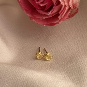 IMG_3775.jpeg