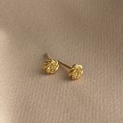 IMG_3771.jpeg