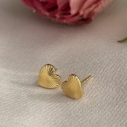IMG_3783.jpeg