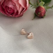 IMG_3780.jpeg