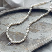 IMG_4182.jpeg